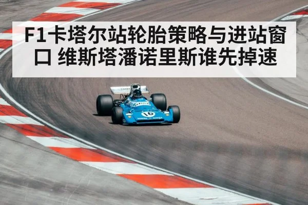 F1卡塔尔站轮胎策略与进站窗口 维斯塔潘诺里斯谁先掉速